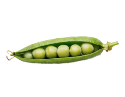 Arvejas